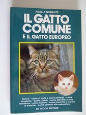 Gatto comune il - gatto, e