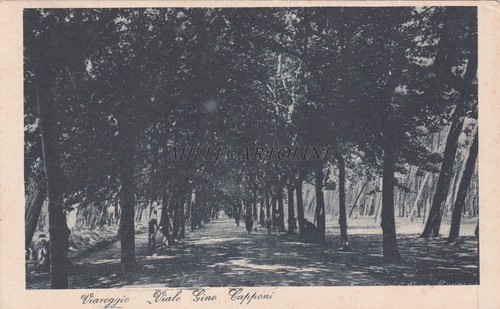 Viareggio viale gino capponi - viareggio,