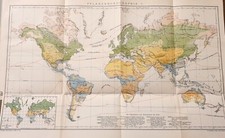 1898 = FLORA NEL MONDO