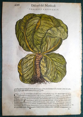 Stampa antica mattioli - stampa,