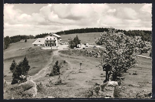 Cartolina san pietro foresta - cartolina,