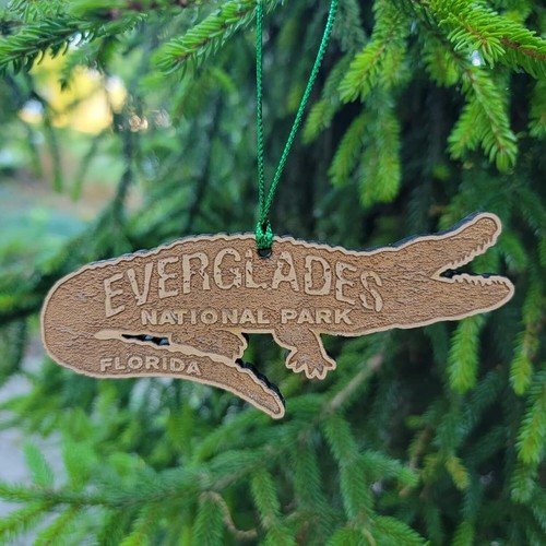 Everglades parco nazionale - everglades,