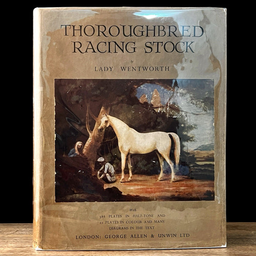Thoroughbred racing stock - stock, &