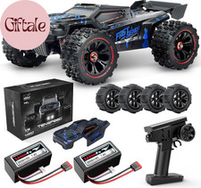 Auto RC Scala 1:14 per Adulti