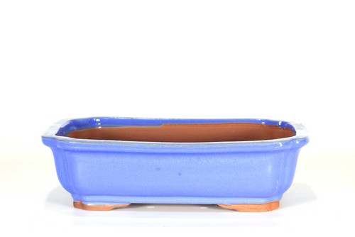 Vaso bonsai smaltato