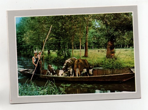 Marais poitevin trasporto - il,