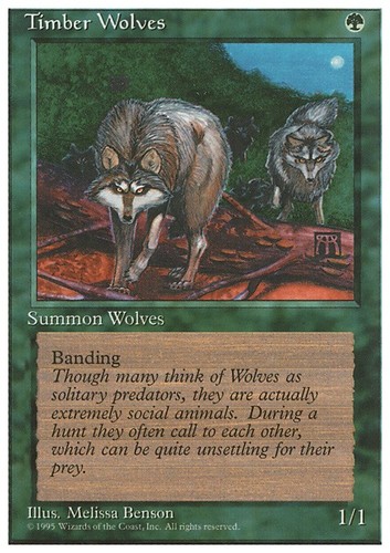 Mtg timber wolves - mtg,