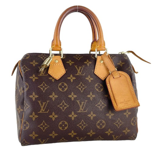 Borsa mano louis vuitton - a,