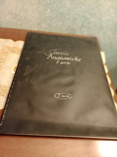 Tavole anatomiche serie - ii,