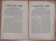 L’AGRICOLTORE UMBRO 11 25 AGOST 1877 UMBRIA FABBRICAZIONE VINO CONEGLIANO