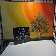 Pink Floyd Dark Side Of The