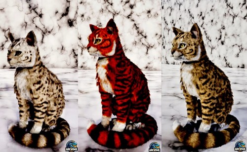 Ark survival ascended cat - ascended,