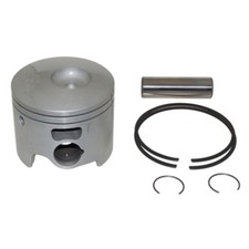 Evinrude 3.4L 200 225 250 300