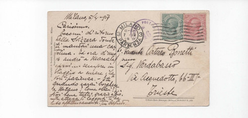 Annullo violaceo censura - annullo,