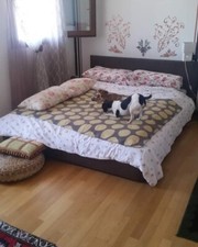 Letto