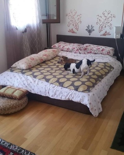 Letto