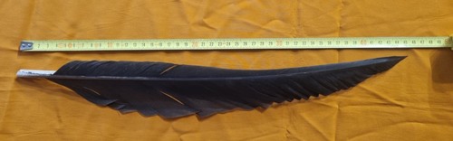 Penna piuma per cappello - piuma,