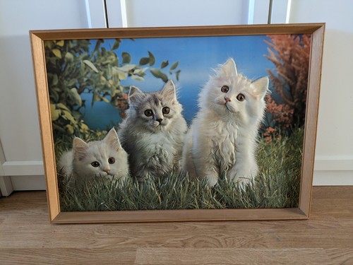 Quadro rilievo 3d - quadro/quadro,