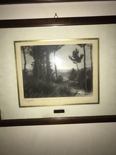 Foto Artistiche Stampa