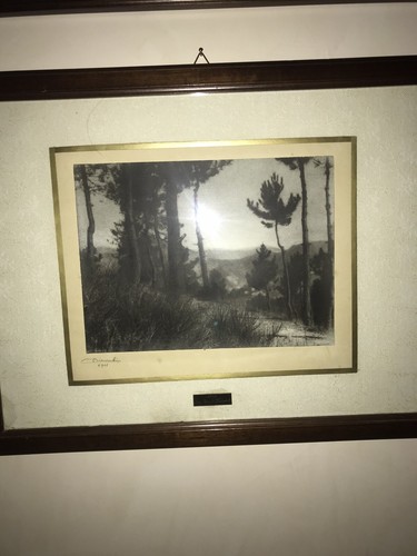 Foto artistiche stampa - artistiche,