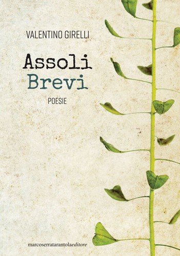 Libri valentino girelli - libri,