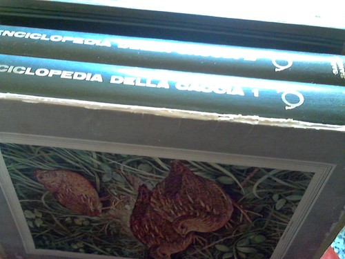 Enciclopedia della caccia - enciclopedia,