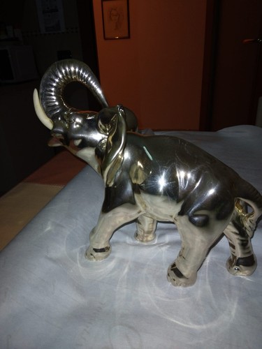 Elefante con zanne - con, bianche
