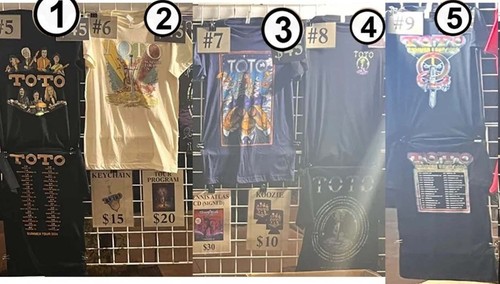Hot shirt toto summer tour - hot!!,
