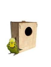 Nido Cocorite Inglese Nido Cova Cocorite