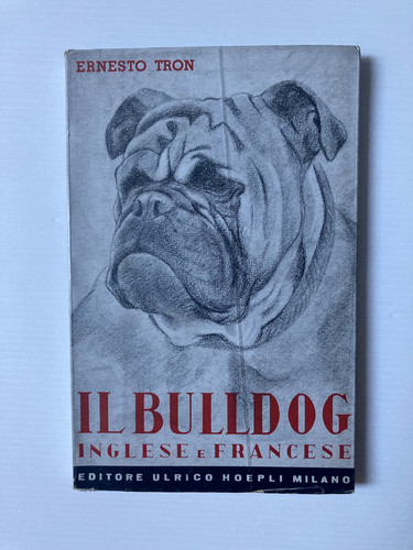 Bulldog inglese francese - e,