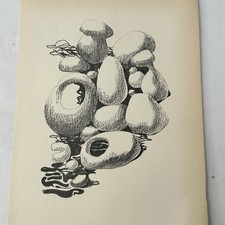 Stampa grafica natura - , morta