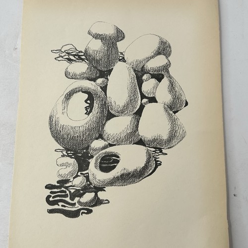 Stampa grafica natura - , morta