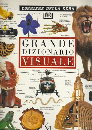 Grande dizionario visuale - grande,