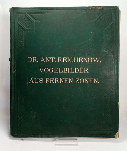 Libro immagini uccellini - immagini,