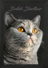 Poster arte da parete con