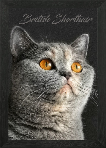 Poster arte parete con - parete,