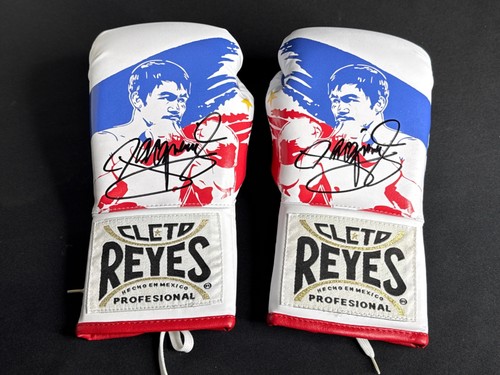 Coppia guantoni boxe - guantoni, da