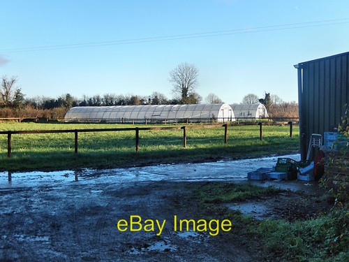 Photo 6x4 farm - photo, tunnels