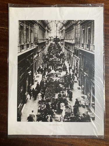 Stampa tipografica genova - ,