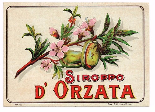 C1900 etichetta bottiglia - c1900,