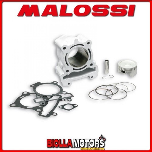 3114852 gruppo termico malossi - 3114852,