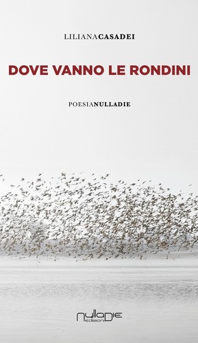 Dove vanno rondini 2025 - vanno,
