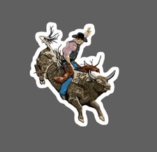 Bull rider sticker - bull, rodeo