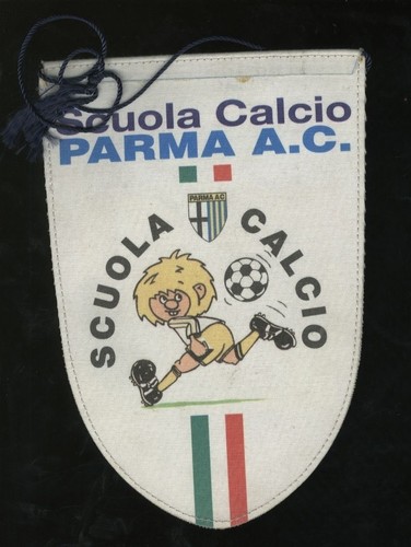 Gagliardetto 14x20 scuola - gagliardetto,