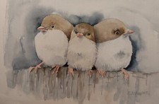 Dipinto  acquarello calvagna carta gr 300 - 25x35cm  - PASSERI - € 180,00