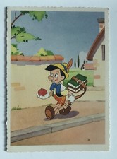 Pinocchio Cartolina Originale