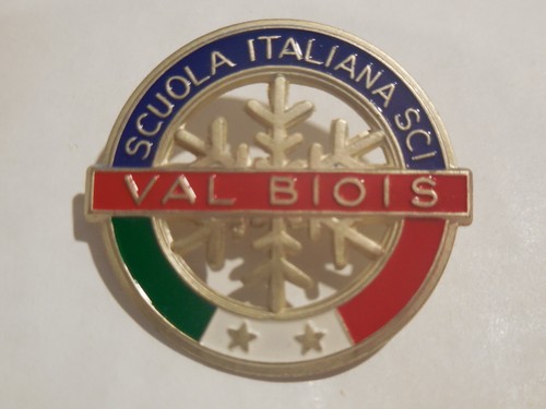 Distintivo spilla scuola - distintivo,