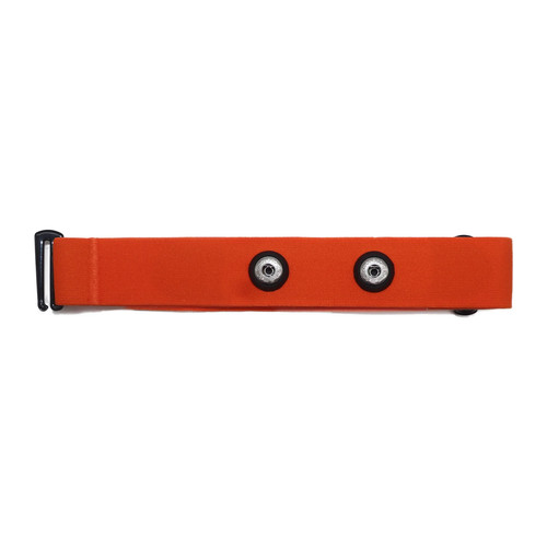 Fitspur cinghia ricambio - cinghia,