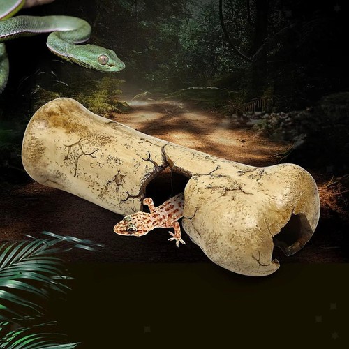 Rettile rock hand cavo - rettile,