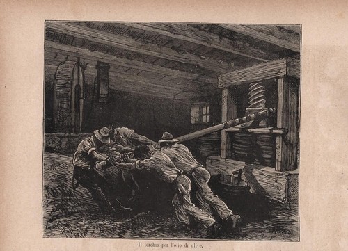 Stampa antica spremitura delle - stampa,